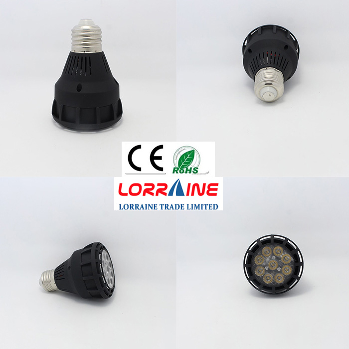 Led Par 20 20W