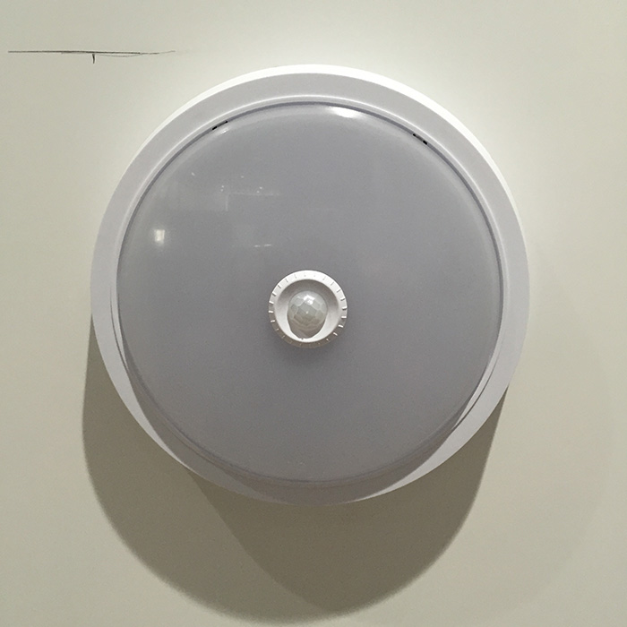 PIR Sensor Version LED Ceiling Lights Surface Mounted Lighting Fitting